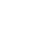 Magi